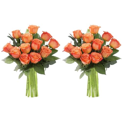 0810022326909 - KABLOOM PRIME NEXT DAY DELIVERY - MOTHERS DAY COLLECTION - 24 STEMS OF ORANGE ROSES (CUT-TO-ORDER, AND HOMEGROWN IN THE USA).GIFT FOR MOTHER’S DAY, BIRTHDAY, EASTER, ANNIVERSARY FRESH FLOWERS
