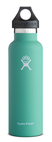 0810497021873 - HYDRO FLASK 21 OZ VACUUM INSULATED STAINLESS STEEL WATER BOTTLE, STANDARD MOUTH W/LOOP CAP, MINT