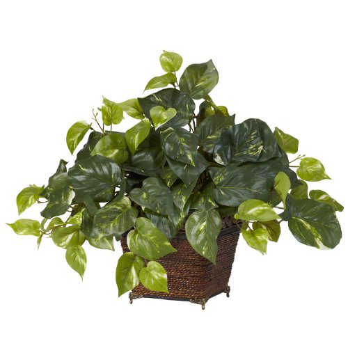 0810709015690 - NEARLY NATURAL 6704 POTHOS WITH COILED ROPE DECORATIVE SILK PLANT, GREEN
