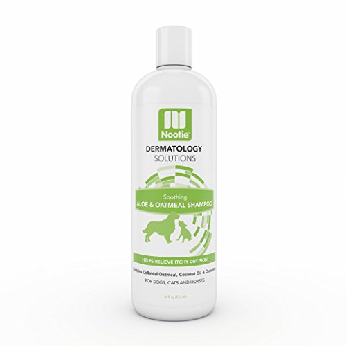 0811048021632 - BEST OATMEAL DOG SHAMPOO - ITCHY SKIN RELIEF WITH ALOE FOR PETS - HORSE AND CAT SHAMPOOS - CLEAN REJUVENATE AND SOOTHE - SOAP-FREE DEODORIZING FORMULA - NO HARSH CHEMICALS