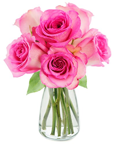 0811444034311 - BOUQUET OF 6 FRESH CUT PINK ROSES (FARM-FRESH, LONG-STEM) WITH FREE VASE INCLUDED