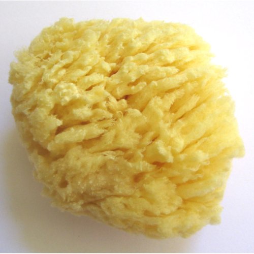 0811617013495 - NATURAL WOOL SEA SPONGE - LUXURIOUS, TRADITIONAL & MOST POPULAR - 3 DIA