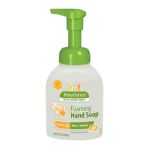 0813277012054 - FINE & HANDY FOAMING HAND SOAP TANGERINE
