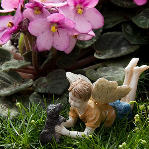 0813792020619 - MINIATURE FAIRY GARDEN LIMITED EDITION BOY FAIRY WITH DOG ROSS AND WINSTON