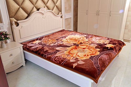 0814731026259 - JML HEAVY THICK PLUSH KOREAN FLORAL STYLE MINK BLANKET, 8 POUNDS 2 PLY QUEEN SIZE BROWN BLANKET, BED BLANKETS, THROWS, 78 BY 88 INCHES