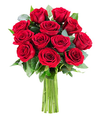 0815433021986 - KABLOOM PRIME NEXT DAY DELIVERY - BOUQUET OF 12 FRESH RED ROSES FLOWERS FOR DELIVERY PRIME GIFT FOR BIRTHDAY, SYMPATHY, ANNIVERSARY, GET WELL, THANK YOU, VALENTINE, MOTHER’S DAY FLOWERS