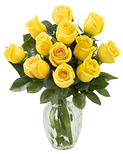 0815433022099 - KABLOOM BOUQUET OF 12 FRESH YELLOW ROSES (FARM-FRESH, LONG-STEM) WITH VASE