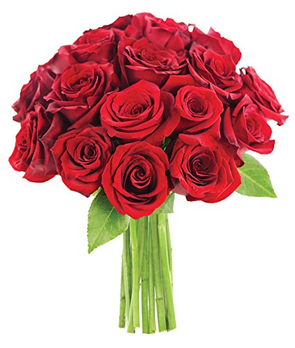0815433022242 - KABLOOM ONE DOZEN AND A HALF KISS FROM A ROSE RED ROSES WITHOUT VASE, 2.5 POUND