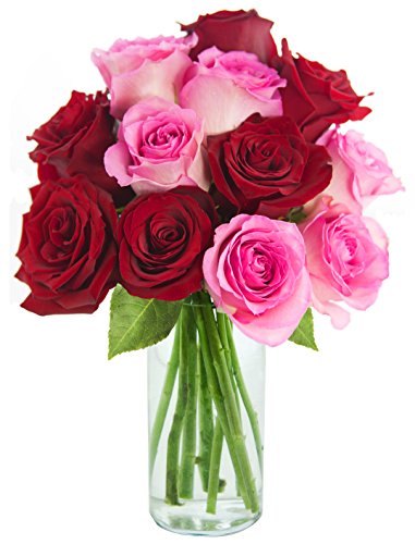 0815433023096 - KABLOOM ONE DOZEN ROSY KISSES PINK AND RED ROSES WITH VASE, 2.5 POUND