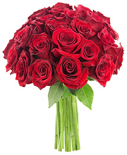 0815433027940 - KABLOOM NATURAL-STATE COLLECTION, FARM FRESH BOUQUET OF 25, ROMANTIC RED ROSES