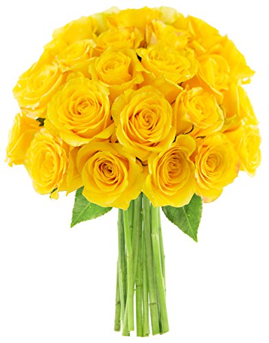 0815433027957 - KABLOOM NATURAL-STATE COLLECTION, VALENTINES FARM FRESH BOUQUET OF 25, YELLOW ROSES, 2.5 POUND