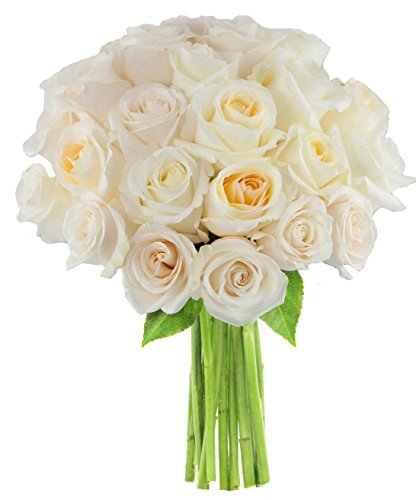 0815433027964 - KABLOOM NATURAL-STATE COLLECTION, VALENTINES FARM FRESH BOUQUET OF 25, WHITE ROSES, 2.5 POUND