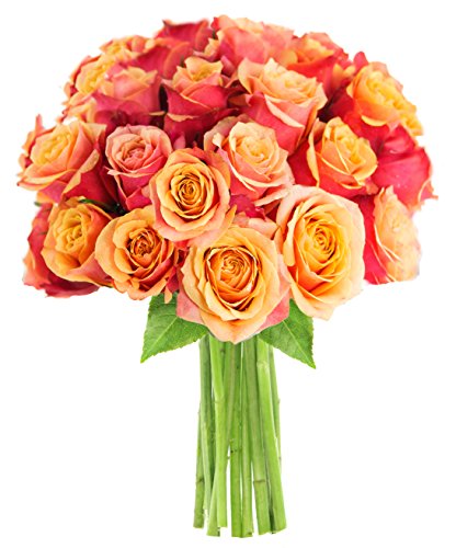 0815433027988 - KABLOOM NATURAL-STATE COLLECTION, VALENTINES FARM FRESH BOUQUET OF 25, ORANGE ROSES, 2.5 POUND