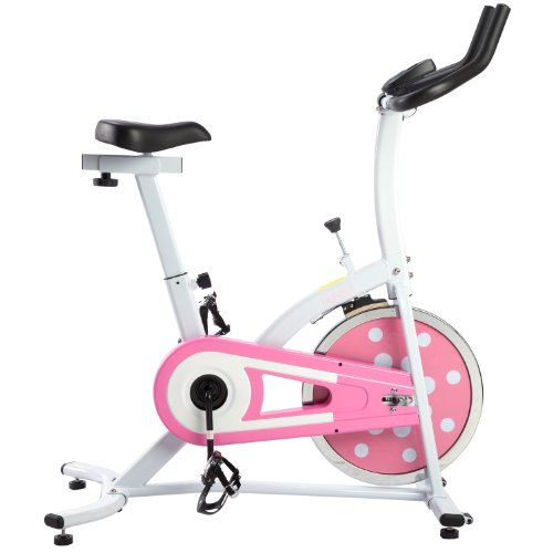 0815749010421 - SUNNY HEALTH AND FITNESS INDOOR CYCLING BIKE (PINK)