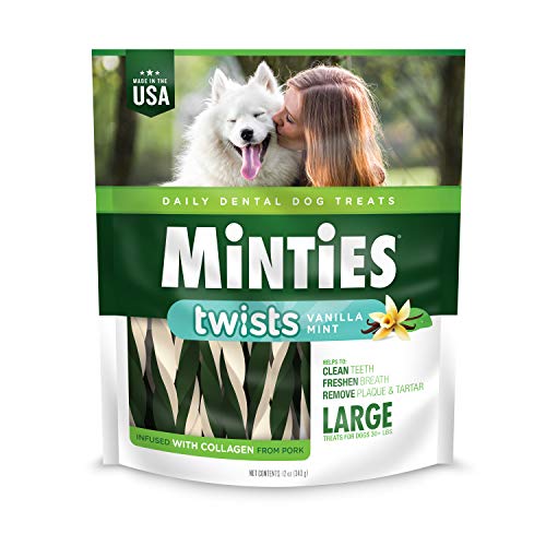 0818145019166 - VETIQ MINTIES TWISTS DOG DENTAL BONE CHEWS FOR DOGS, VANILLA AND MINT FLAVOR, LARGE 12OZ