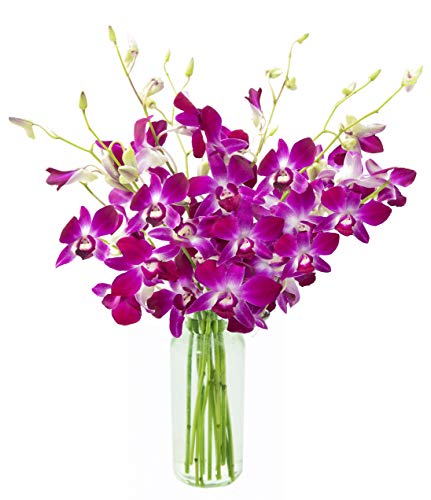 0819407020753 - KABLOOM PRIME OVERNIGHT DELIVERY - BOUQUET OF PURPLE ORCHIDS FROM THAILAND WITH VASE
