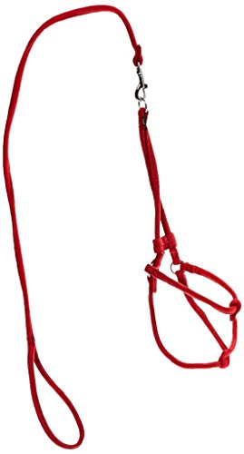 8195830168234 - DOGLINE SOFT AND PADDED COMFORT MICROFIBER ROUND STEP-IN HARNESS AND LEASH FOR DOGS XS (W1/4 X L36 X G10-16), RED