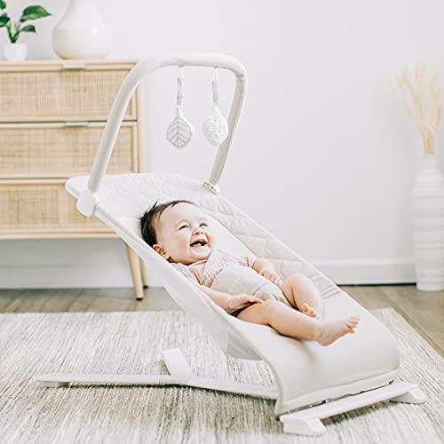 0819956001302 - BABY DELIGHT ALPINE DELUXE PORTABLE INFANT BOUNCER - 100% GOTS CERTIFIED ORGANIC COTTON FABRIC, ORGANIC OAT