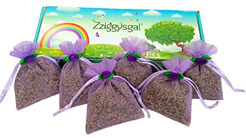 0820103630375 - ZZIGGYSGAL FRENCH LAVENDER SACHETS WITH ROSETTES - 6 PACK