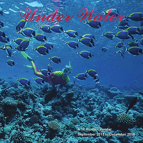 0825600065149 - UNDER WATER WALL CALENDAR BY MAGNUM PUBLICATIONS