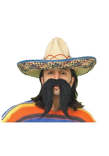 0082686492751 - RUBIE'S COSTUME EMBROIDERED STRAW SOMBRERO, BROWN ASSORTED, ONE SIZE