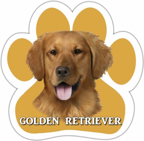 0831310137571 - GOLDEN RETRIEVER CAR MAGNET WITH UNIQUE PAW SHAPED DESIGN MEASURES 5.2 BY 5.2 INCHES COVERED IN HIGH QUALITY UV GLOSS FOR WEATHER PROTECTION