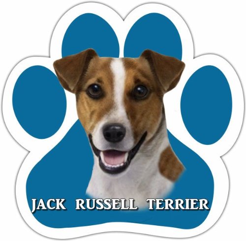 0831310137663 - JACK RUSSELL CAR MAGNET WITH UNIQUE PAW SHAPED DESIGN MEASURES 5.2 BY 5.2 INCHES COVERED IN HIGH QUALITY UV GLOSS FOR WEATHER PROTECTION