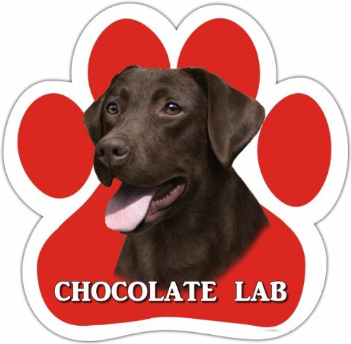 0831310137724 - CHOCOLATE LAB CAR MAGNET WITH UNIQUE PAW SHAPED DESIGN MEASURES 5.2 BY 5.2 INCHES COVERED IN HIGH QUALITY UV GLOSS FOR WEATHER PROTECTION