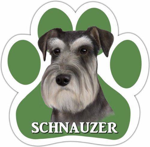0831310137960 - SCHNAUZER, UNCROPPED CAR MAGNET WITH UNIQUE PAW SHAPED DESIGN MEASURES 5.2 BY 5.2 INCHES COVERED IN HIGH QUALITY UV GLOSS FOR WEATHER PROTECTION
