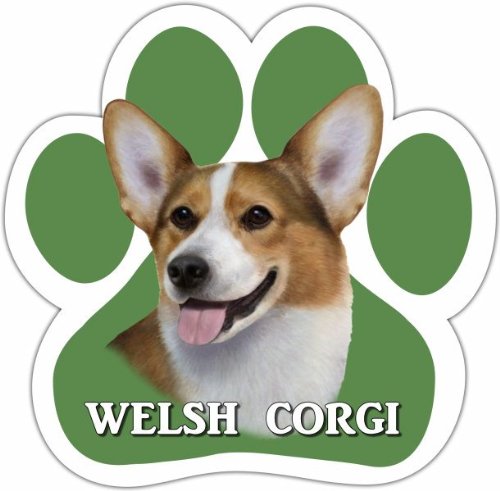 0831310138103 - WELSH CORGI CAR MAGNET WITH UNIQUE PAW SHAPED DESIGN MEASURES 5.2 BY 5.2 INCHES COVERED IN HIGH QUALITY UV GLOSS FOR WEATHER PROTECTION