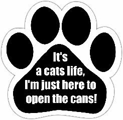 0831310138257 - IT'S A CATS LIFE I'M JUST HERE TO OPEN THE CANS CAR MAGNET WITH UNIQUE PAW SHAPED DESIGN MEASURES 5.2 BY 5.2 INCHES COVERED IN HIGH QUALITY UV GLOSS FOR WEATHER PROTECTION