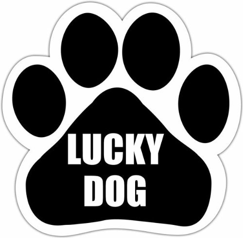 0831310138462 - LUCKY DOG CAR MAGNET WITH UNIQUE PAW SHAPED DESIGN MEASURES 5.2 BY 5.2 INCHES COVERED IN HIGH QUALITY UV GLOSS FOR WEATHER PROTECTION