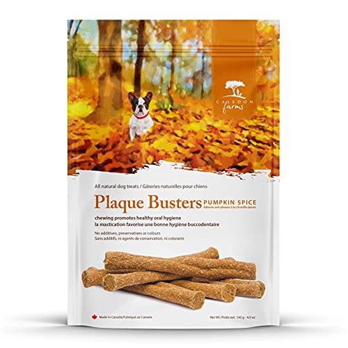 0835302002632 - PLAQUE BUSTERS WITH PUMPKIN SPICE DOG TREATS: GRAIN FREE, GLUTEN FREE, NO ADDITIVES, COLORS OR PRESERVATIVES