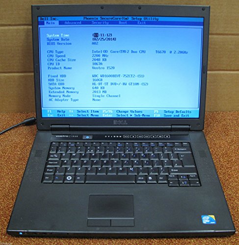 0083604629716 - DELL LAPTOP VOSTRO 1520, 160GB HDD, DVD ROM, 2GB, CORE 2 DUE 2.2GHZ