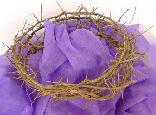 0837654873786 - AUTHENTIC CROWN OF THORNS- REAL LIFE SIZE