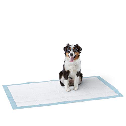 0840095863490 - AMAZON BASICS DOG AND PUPPY POTTY TRAINING PADS, HEAVY DUTY ABSORBENCY, GIANT (27.5 X 44 INCHES) - PACK OF 30