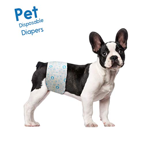0840166208281 - SCRATCHME DISPOSABLE MALE DOG DIAPER, SUPER ABSORBENT AND LEAK-PROOF FIT, EXCITABLE URINATION OR INCONTINENCE, 40 COUNT, SMALL