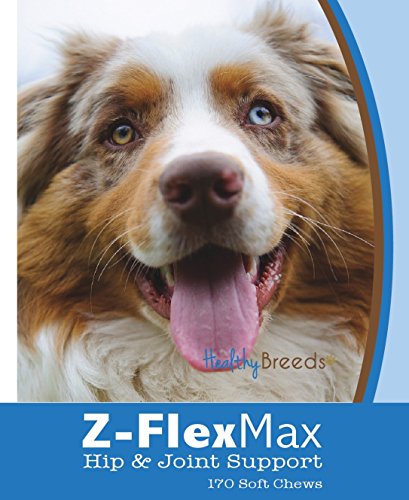 0840235101239 - HEALTHY BREEDS Z-FLEX MAX HIP AND JOINT SUPPORT SOFT CHEWS, AUSTRALIAN SHEPHERD / 170 COUNT