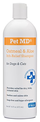 0840235137566 - PET MD - OATMEAL DOG AND CAT SHAMPOO WITH ALOE VERA AND COCONUT OIL - NATURAL CLEANSER FOR ITCH RELIEF AND MOISTURIZER FOR DRY SKIN AND COAT - TROPICAL SCENT - 16 OZ