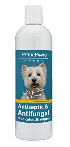 0840235142188 - PRIME PAWS CHLORHEXIDINE KETOCONAZOLE ANTISEPTIC AND ANTIFUNGAL MEDICATED SHAMPOO FOR DOGS, CATS AND HORSES - SOAP AND PARABEN FREE - 16 OZ