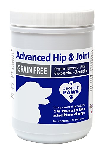 0840235142331 - PROJECT PAWS HIP AND JOINT SUPPLEMENT FOR DOGS - ADVANCED SOFT CHEW SUPPLEMENT FOR CANINES - MSM, GLUCOSAMINE, CHONDROITIN, ORGANIC TURMERIC - 120 CT
