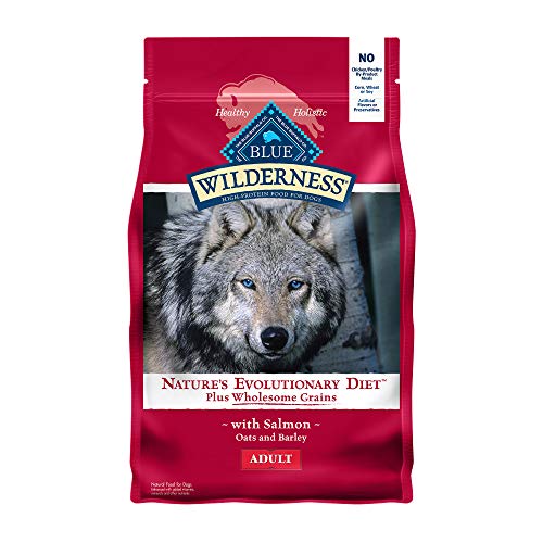 0840243140428 - BLUE BUFFALO WILDERNESS HIGH PROTEIN NATURAL ADULT DRY DOG FOOD PLUS WHOLESOME GRAINS, SALMON 4.5-LB