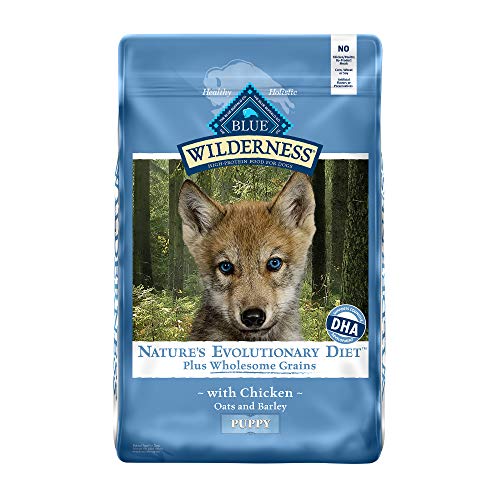 0840243140497 - BLUE BUFFALO WILDERNESS HIGH PROTEIN NATURAL PUPPY DRY DOG FOOD PLUS WHOLESOME GRAINS, CHICKEN 24-LB