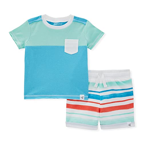 0840316813709 - BURTS BEES BABY BABY BOYS SHIRT AND PANT SET, TOP & BOTTOM OUTFIT BUNDLE, 100% ORGANIC COTTON, COLOR BLOCKED
