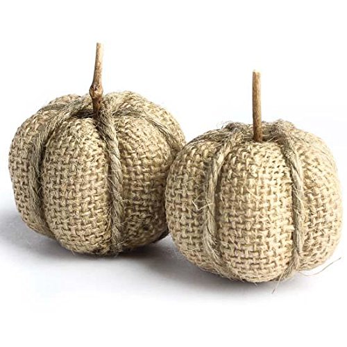 0840346112742 - 8 DECORATIVE MINIATURE BURLAP AND JUTE WRAPPED PUMPKINS WITH TWIG STEMS FOR FALL DECOR, HARVEST DESIGN, AND CRAFTING