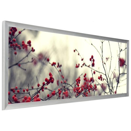 0840844123431 - DISPLAYS2GO PNFA40135S PANO PHOTO FRAME FOR PANORAMIC PICTURES, 40 X 13.5