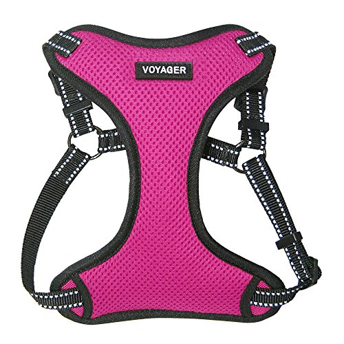 0842637101077 - VOYAGER BY BEST PET SUPPLIES - FULLY ADJUSTABLE STEP-IN MESH HARNESS WITH REFLECTIVE 3M PIPING (FUCSHIA, SMALL)