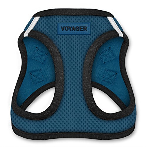 0842637109844 - VOYAGER STEP-IN AIR DOG HARNESS - ALL WEATHER MESH, STEP IN VEST HARNESS FOR SMALL AND MEDIUM DOGS BY BEST PET SUPPLIES - BLUE BASE, XXS (CHEST: 10.5-13” FIT CATS)
