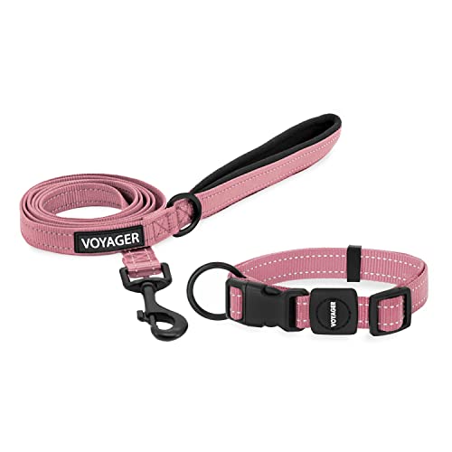 0842637124649 - VOYAGER ADJUSTABLE NYLON DOG COLLAR & DOG LEASH BUNDLE - SOFT PADDED HANDLE & NECK WITH REFLECTIVE STICHING FOR PUPPIES, SMALL, MEDIUM, & BIG DOGS BY BEST PET SUPPLIES (PINK,1)