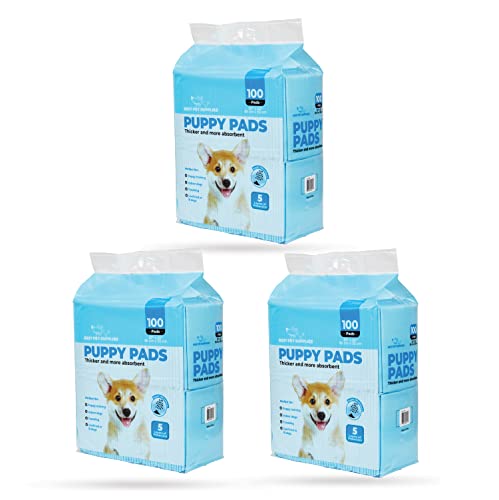 0842637125554 - BEST PET SUPPLIES DISPOSABLE PUPPY PADS FOR WHELPING PUPPIES AND TRAINING DOGS, 300 PACK, ULTRA ABSORBENT, LEAK RESISTANT, AND TRACK FREE FOR INDOOR PETS, FLOOR PROTECTION - BABY BLUE (22.5 X 22)